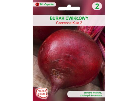 Burak ćwikłowy Czerwona Kula 2 okrągły W.Legutko