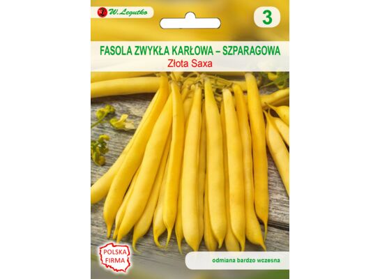 Fasola szparagowa karłowa żółtostrąkowa Złota Saxa wczesna 35 g gc. 3 W.Legutko