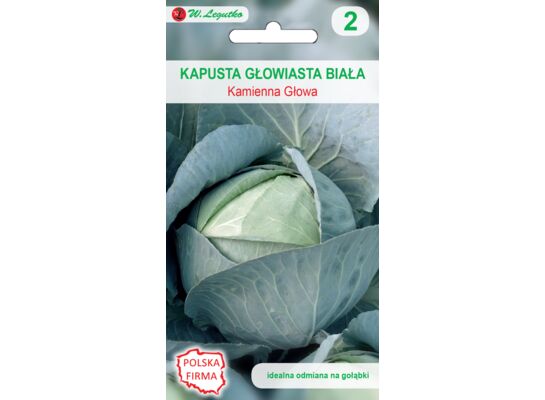 Kapusta głowiasta biała Kamienna Głowa W.Legutko