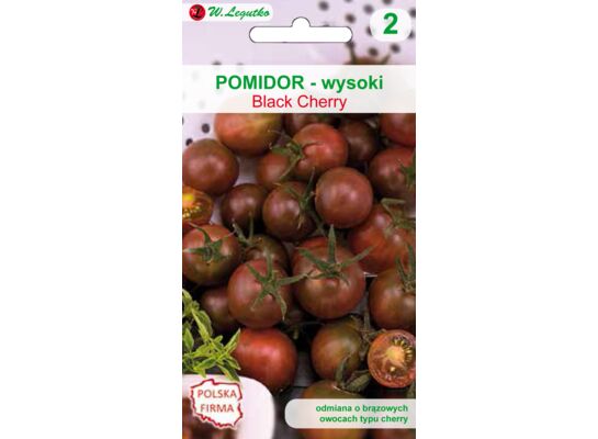Pomidor gruntowy wysoki Black Cherry W.Legutko