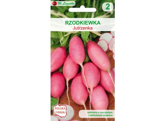 Rzodkiewka Jutrzenka półdługa różowa W.Legutko