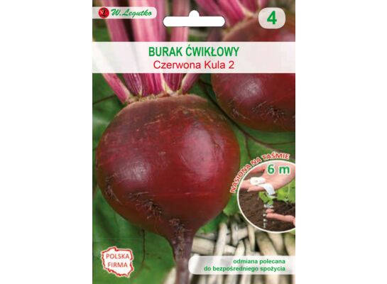 Nasiona na taśmie - burak ćwikłowy Czerwona Kula 2 okrągły W.Legutko