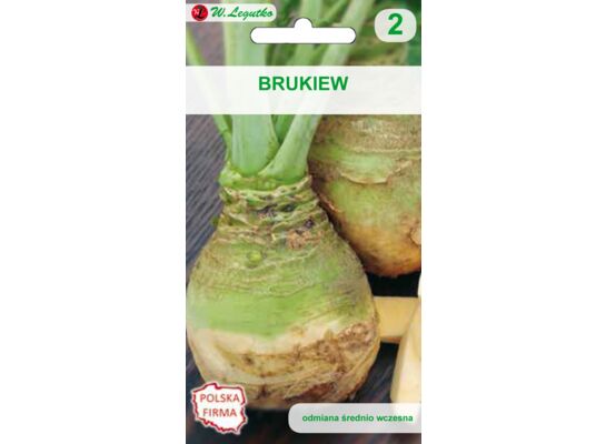 Brukiew Wilhelmsburger IX-X W.Legutko