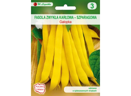 Fasola zwykła szparagowa karłowa Galopka 35 g gc. 3 W.Legutko