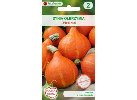 Dynia olbrzymia Uchiki Kuri, typ Hokkaido W.Legutko