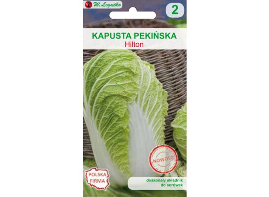 Kapusta pekińska Hilton W.Legutko
