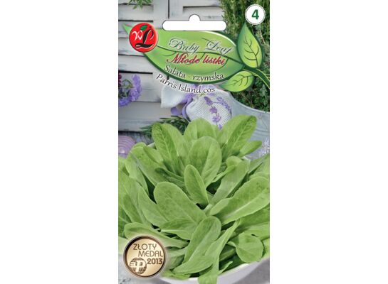 Sałata rzymska Parris Island Cos Baby Leaf W.Legutko