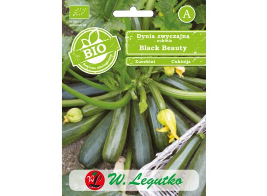 Dynia zwyczajna Black Beauty BIO 2 g gc. C W.Legutko