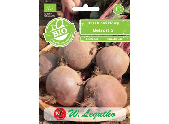 Burak ćwikłowy Detroit 2 BIO W.Legutko
