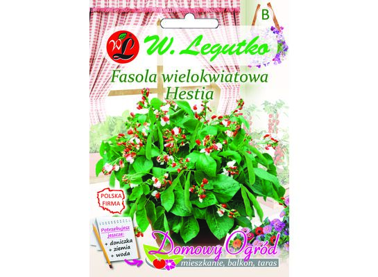 Fasola wielkokwiatowa karłowa, szparagowa Hestia W.Legutko