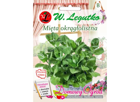 Mięta okrągłolistna 0,1 g gc. B W.Legutko