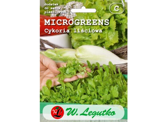 Cykoria liściowa Microgreens W.Legutko