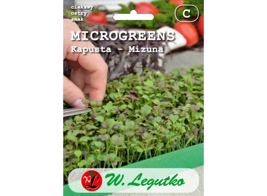 Kapusta Mizuna mieszanka odmian Microgreens W.Legutko
