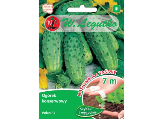 Nasiona na taśmie ogórek gruntowy konserwowy Polan F1 4,3 g gc. III W.Legutko
