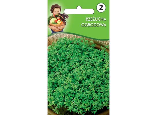 Rzeżucha ogrodowa W.Legutko