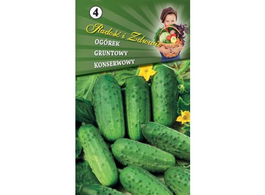 Ogórek gruntowy konserwowy Odys F1 W.Legutko