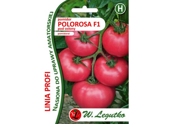 Pomidor pod osłony Polorosa F1 W.Legutko