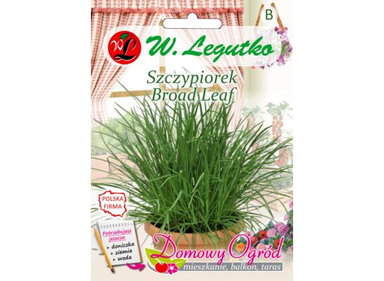 Szczypiorek Broad Leaf 2 g gc. B W.Legutko