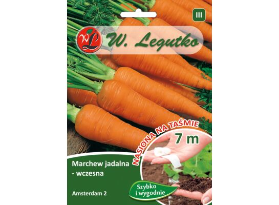 Nasiona na taśmie marchew jadalna Amsterdam 2 1 g gc. III W.Legutko
