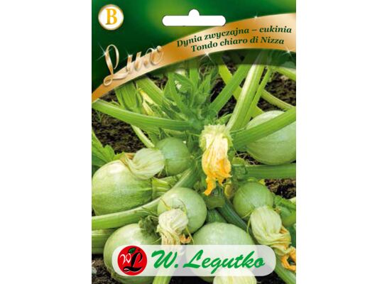 Dynia zwyczajna cukinia Tondo Chiaro Di Nizza W.Legutko