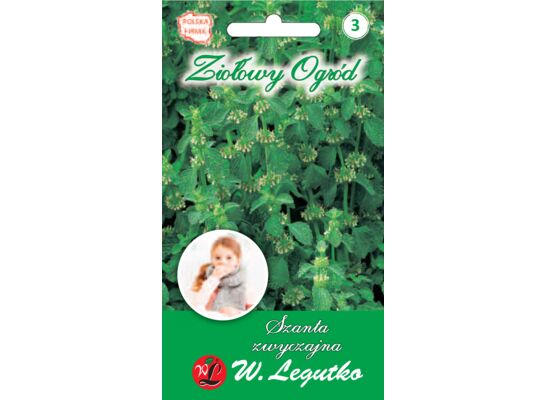 Szanta zwyczajna W.Legutko