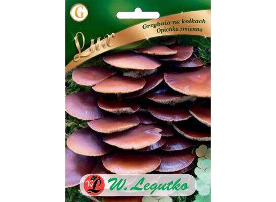 Grzybnia na kołkach Opieńka zmienna W.Legutko