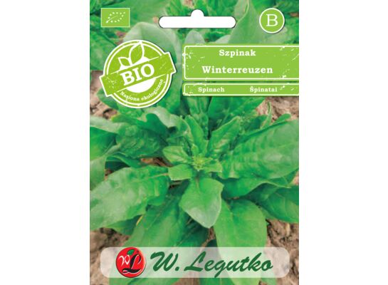Szpinak Winterreuzen BIO W.Legutko