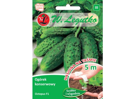 Nasiona na taśmie ogórek gruntowy konserwowy Octopus F1 V W.Legutko