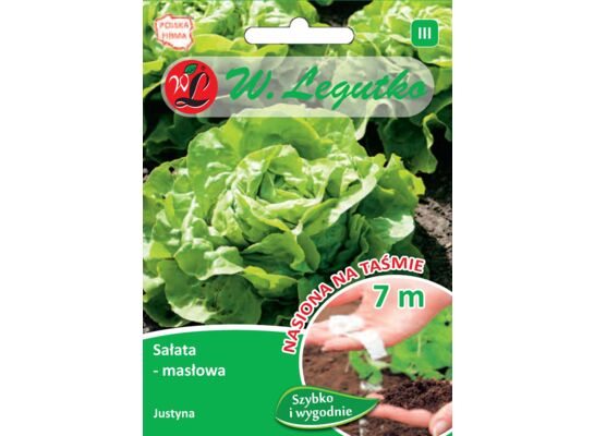 Nasiona na taśmie sałata głowiasta masłowa Justyna W.Legutko
