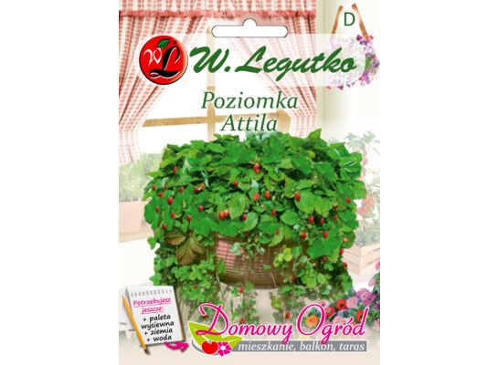 Poziomka Attila III W.Legutko