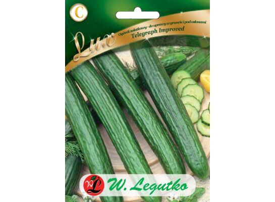 Ogórek pod osłony sałatkowy Telegraph Improved W.Legutko