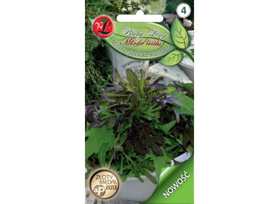 Kapusta Mizuna mieszanka odmian Baby Leaf W.Legutko