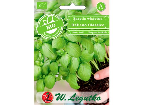Bazylia właściwa Italiano Classico BIO W.Legutko