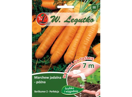 Nasiona na taśmie marchew jadalna Berlikumer 2 1 g gc. III W.Legutko