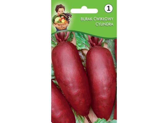 Burak ćwikłowy Cylindra W.Legutko