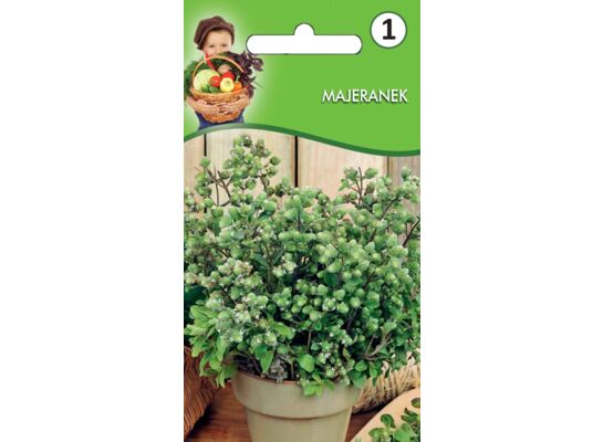 Majeranek VII-IX W.Legutko