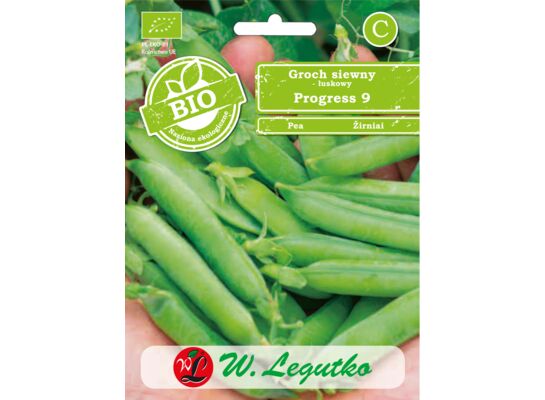 Groch siewny łuskowy Progress 9 BIO W.Legutko