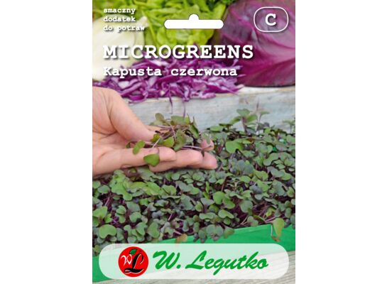 Kapusta głowiasta czerwona Microgreens W.Legutko