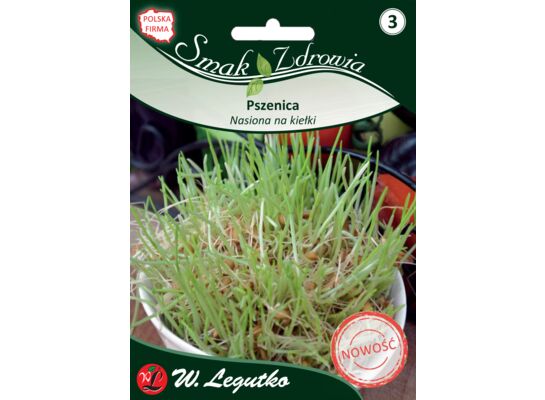 Nasiona na kiełki pszenica W.Legutko