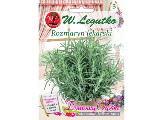 Rozmaryn lekarski W.Legutko
