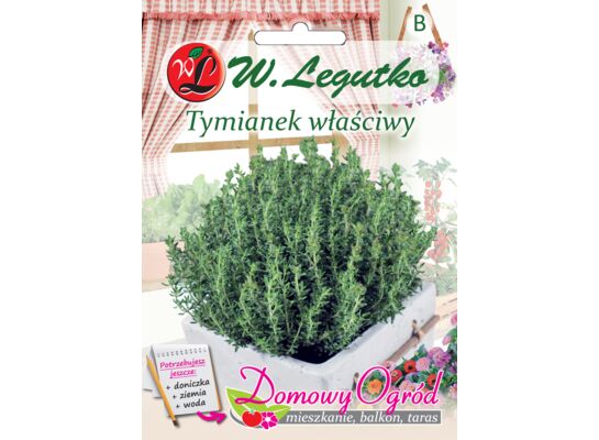 Tymianek właściwy Słoneczko W.Legutko