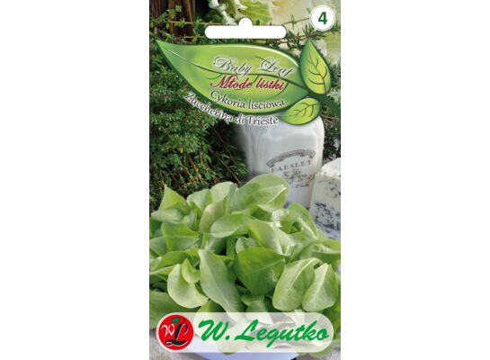 Cykoria liściowa Zuccherina di Trieste Baby Leaf W.Legutko