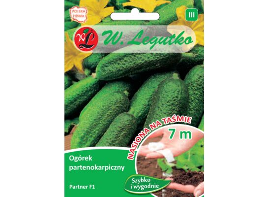 Nasiona na taśmie ogórek partenokarpiczny Partner F1 4,3 g gc. III W.Legutko