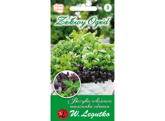 Bazylia właściwa mieszanka odmian W.Legutko