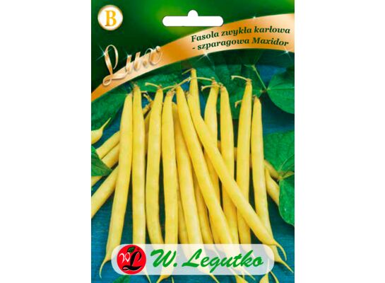Fasola szparagowa karłowa żółtostrąkowa Maxidor W.Legutko