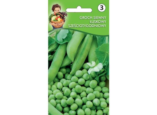 Groch łuskowy sześciotygodniowy III-IV W.Legutko