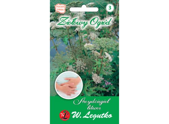 Arcydzięgiel litwor W.Legutko