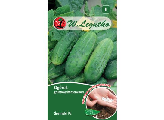 Nasiona otoczkowane ogórek gruntowy konserwowy Śremski F1 1 g gc. II W.Legutko