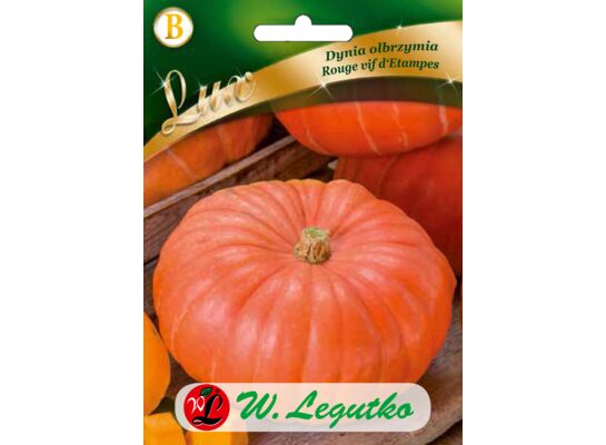 Dynia olbrzymia Rouge Vif D'Etampes W.Legutko