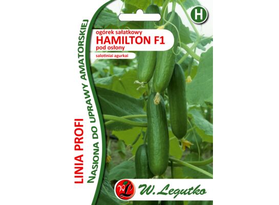 Ogórek pod osłony Hamilton F1 W.Legutko